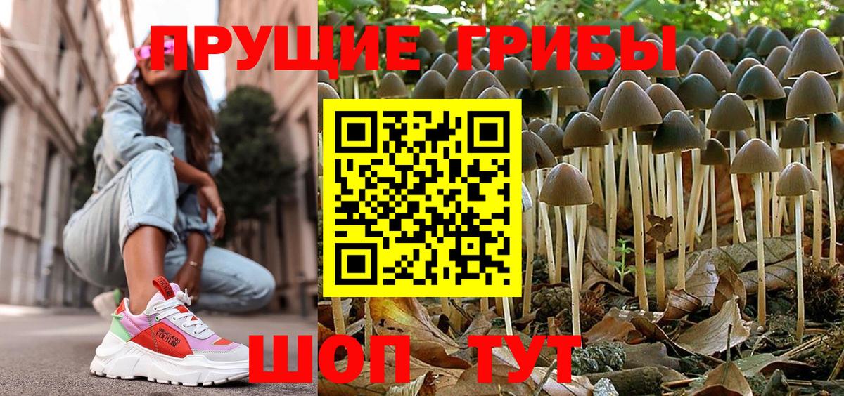 Галлюциногенные грибы прущие грибы Кизляр
